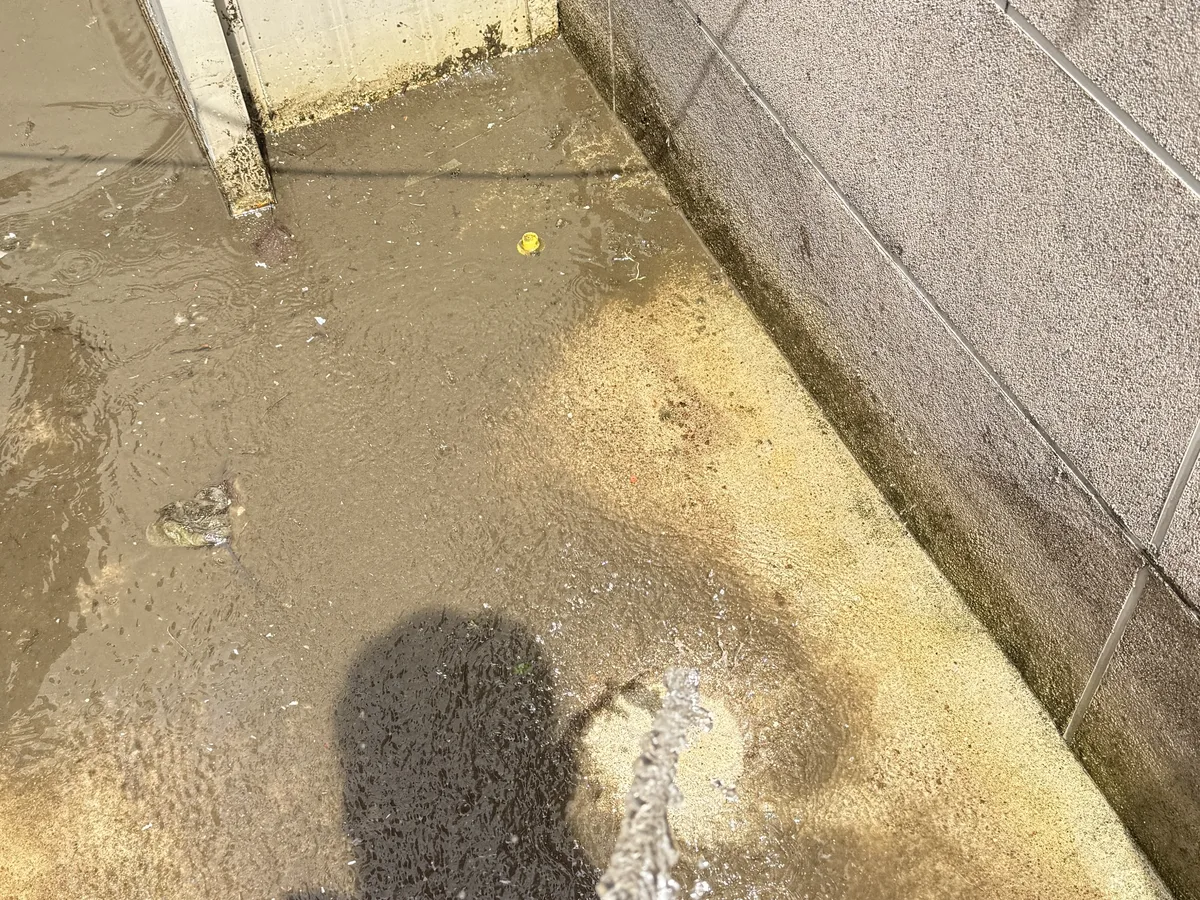 마포구 상수동 침수 현장 복도·대기 동선 야간 위생청소 사례 - 행진크린