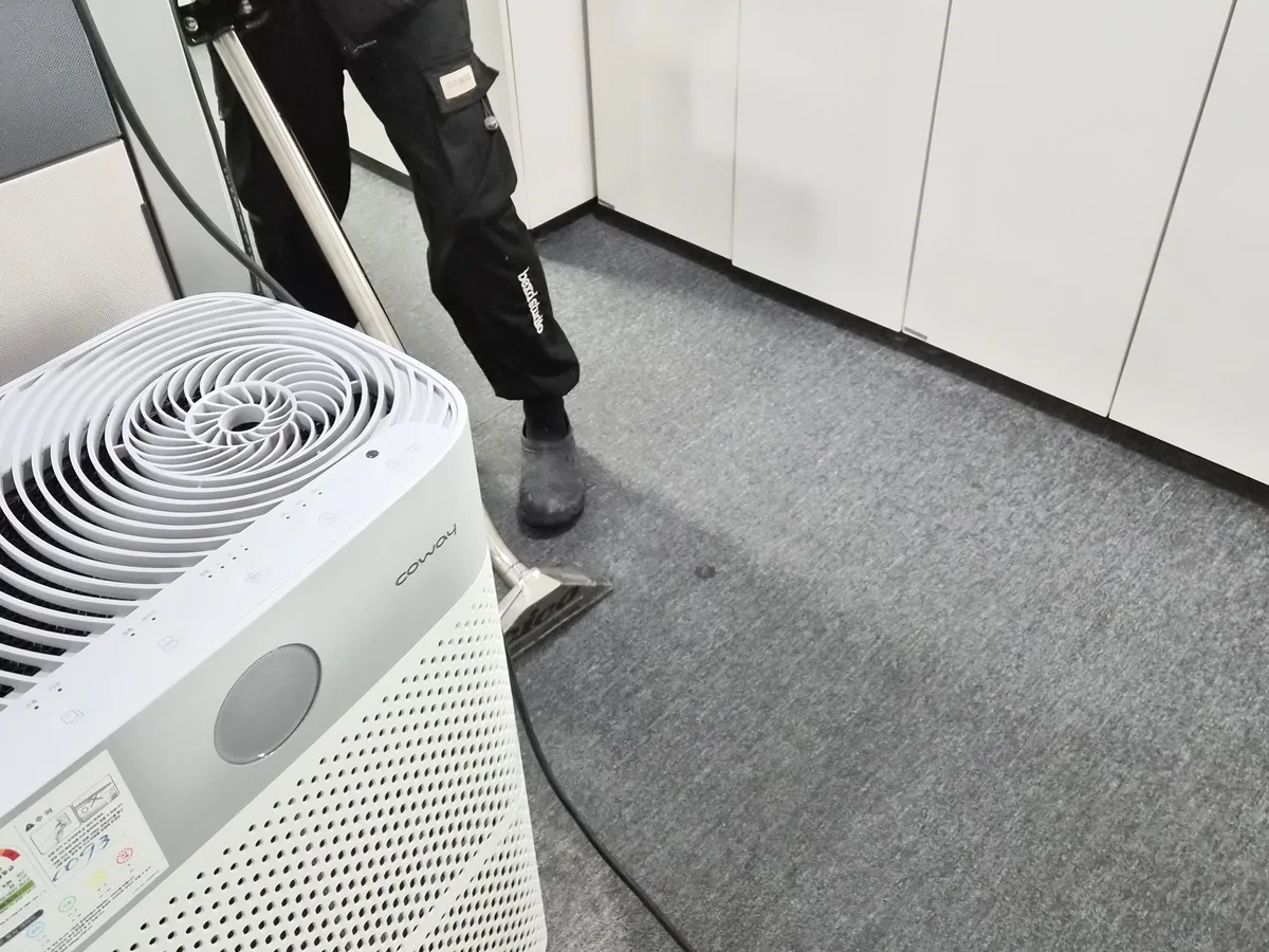 마포구 대흥동 사업장 로비·복도 카페트 바닥 위생청소 사례 - 행진크린